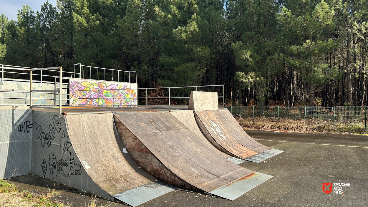 Cestas skatepark